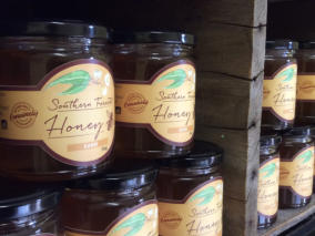 Southern Forest Honey